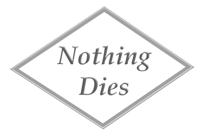 Nothing Dies by Tullio DeSantis